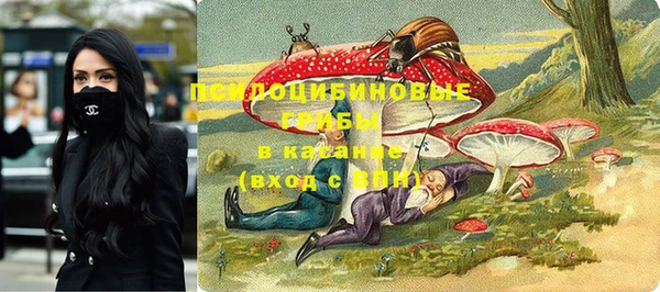 мяу мяу кристалл Богданович