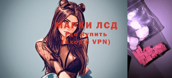 шишки Богородск