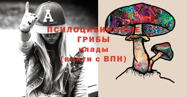 шишки Богородск