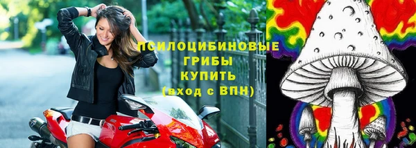 мяу мяу кристалл Богданович