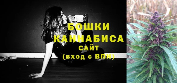 прущие грибы Струнино