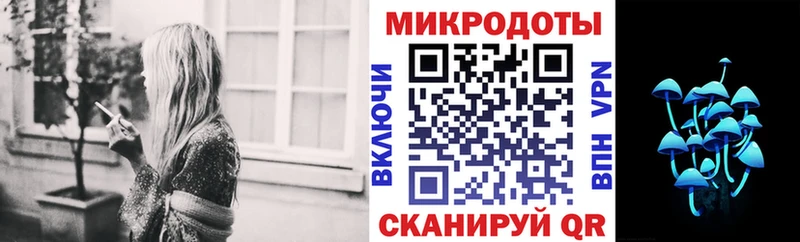 что такое   Ковдор  Галлюциногенные грибы Psilocybine cubensis 